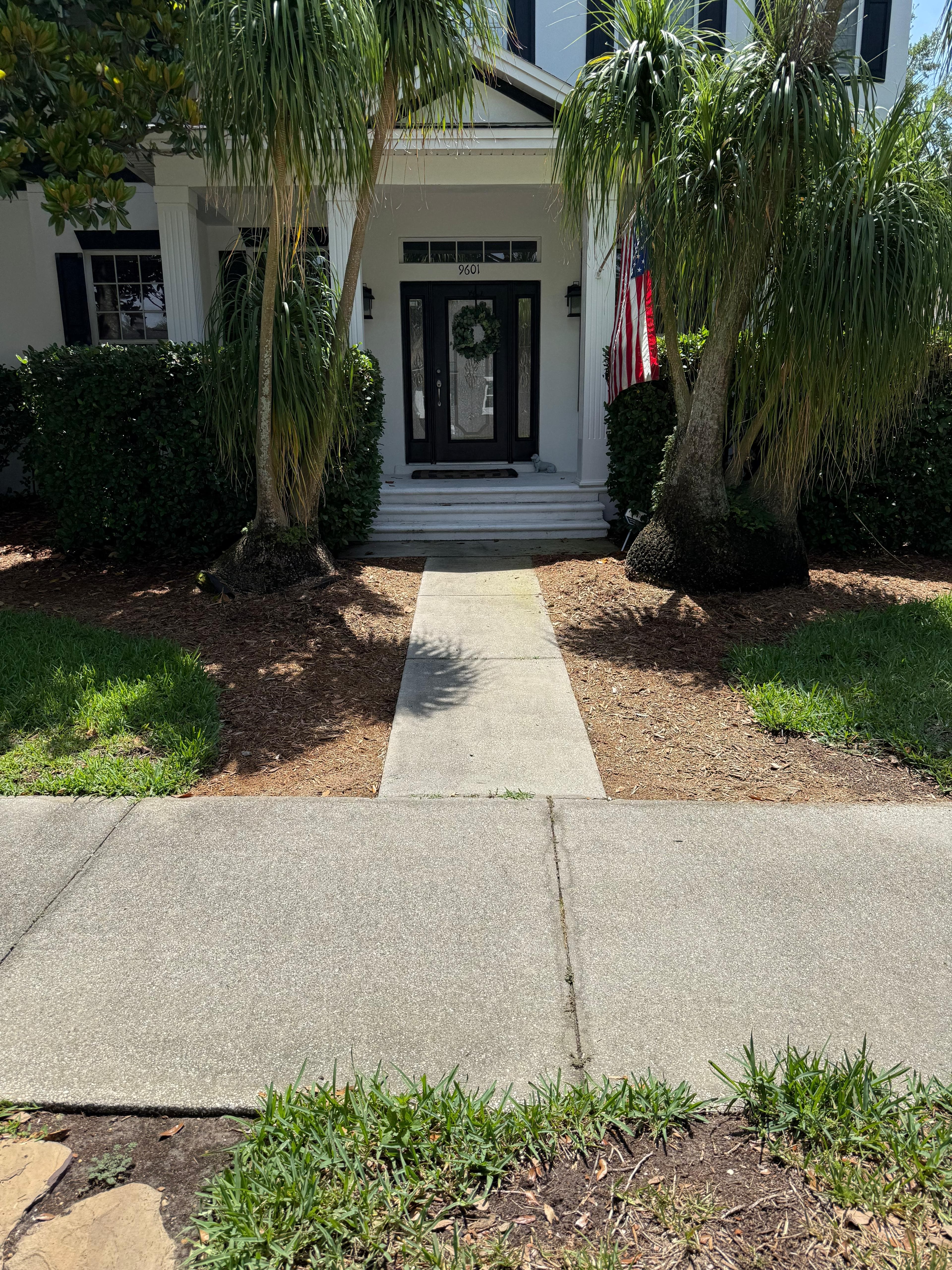 Sidewalk Cleaning 4 before cleaning