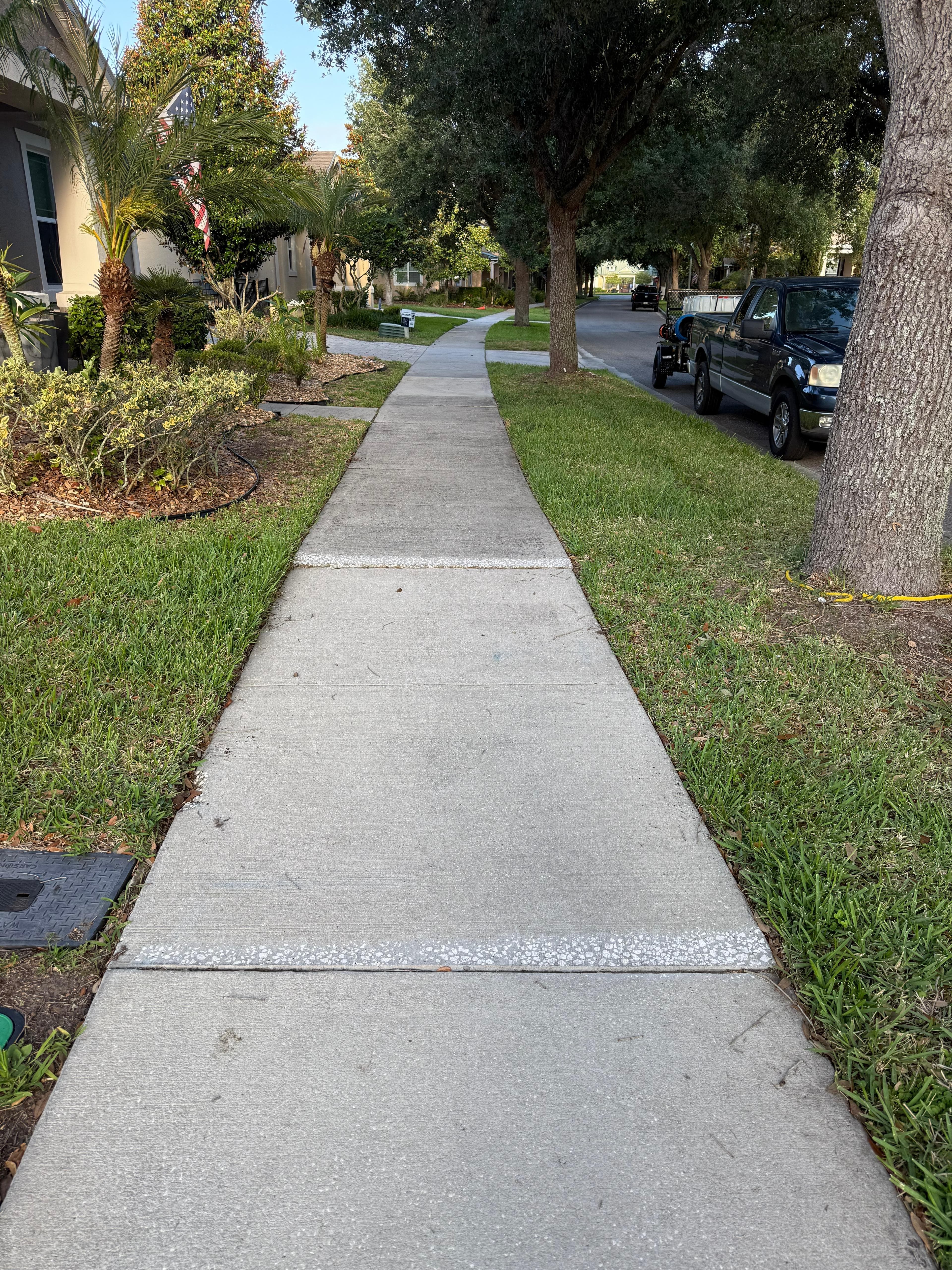 Sidewalk Cleaning 5 before cleaning