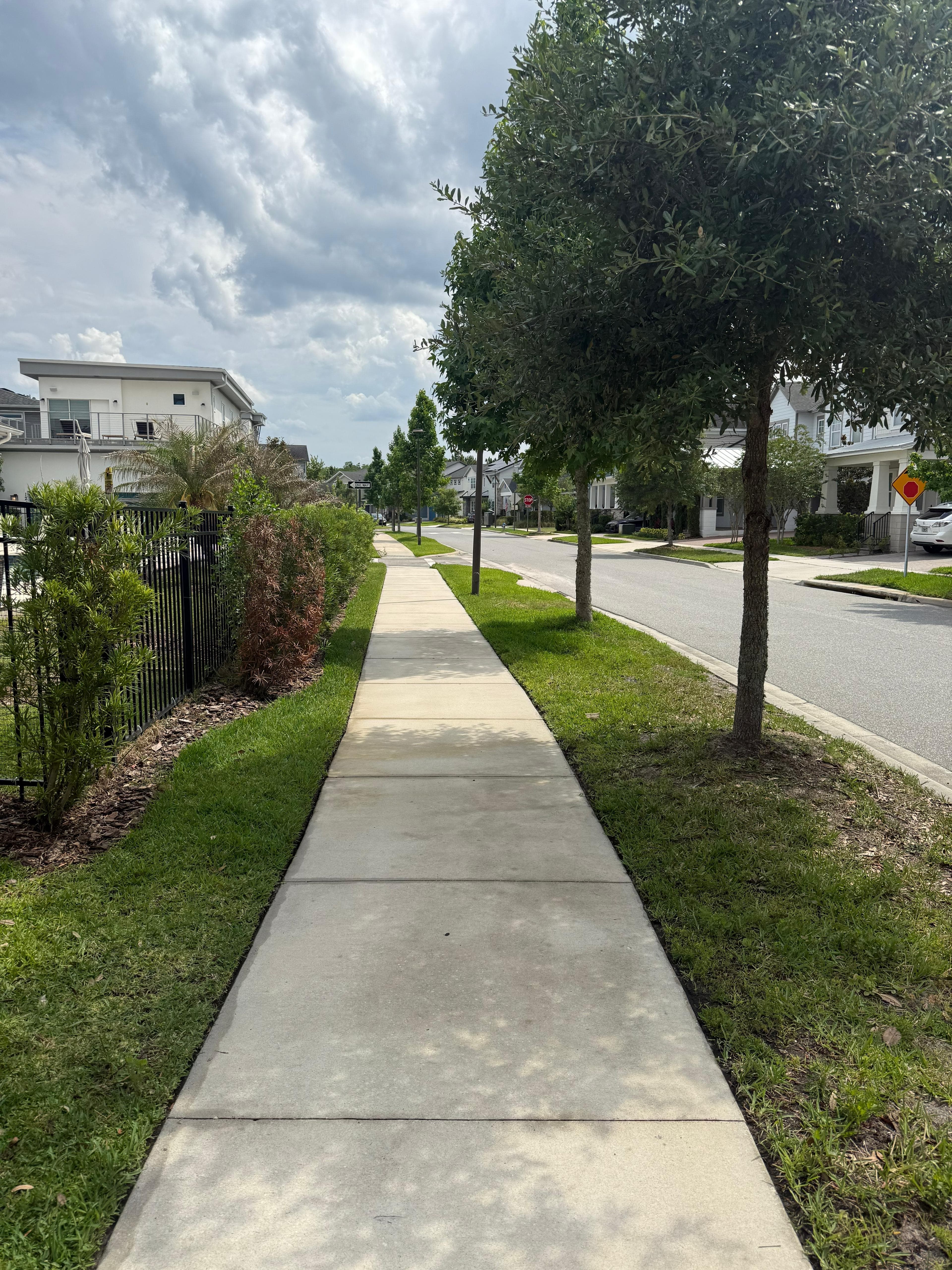 Sidewalk & Walkway after cleaning