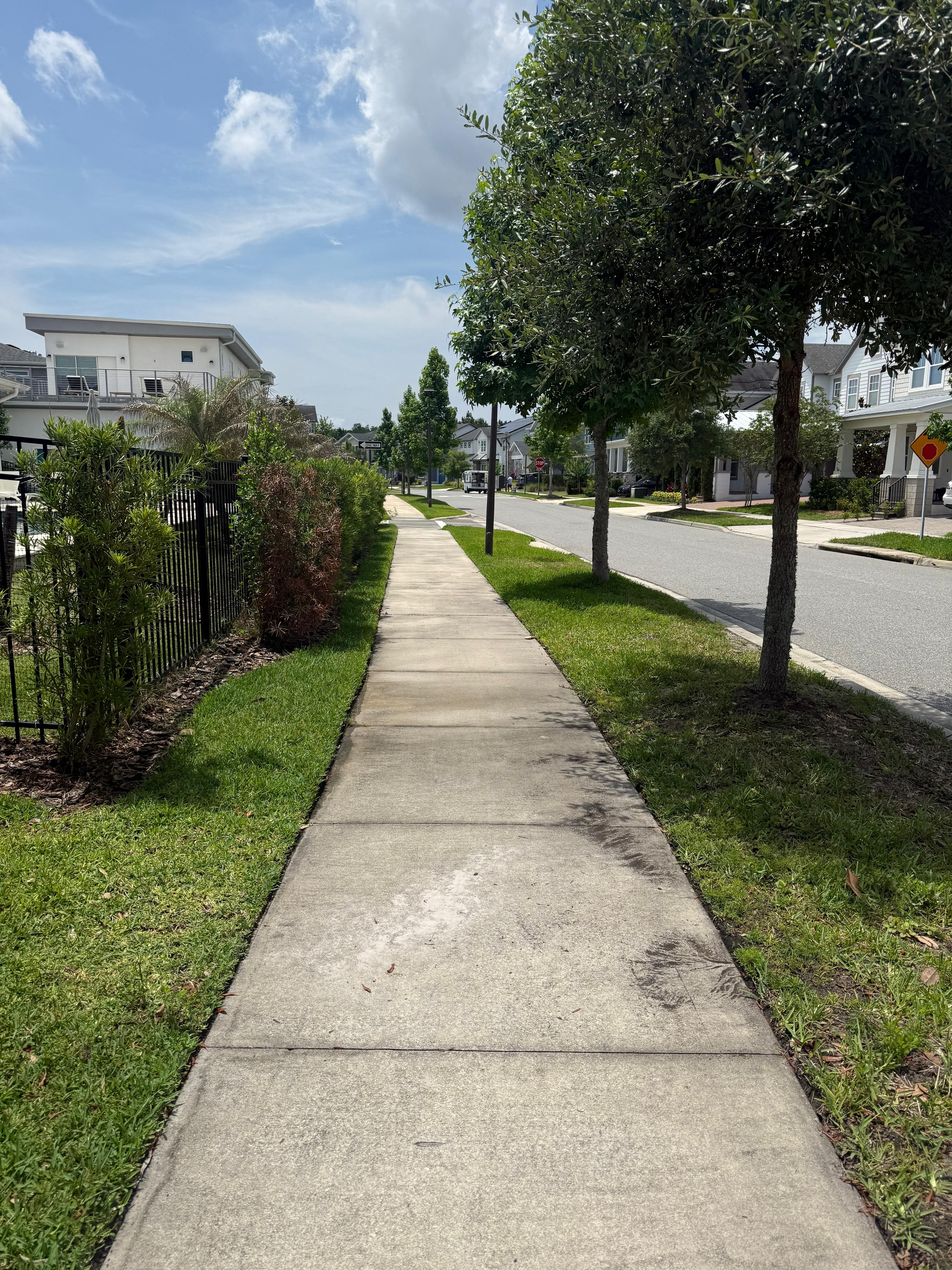 Sidewalk & Walkway before cleaning
