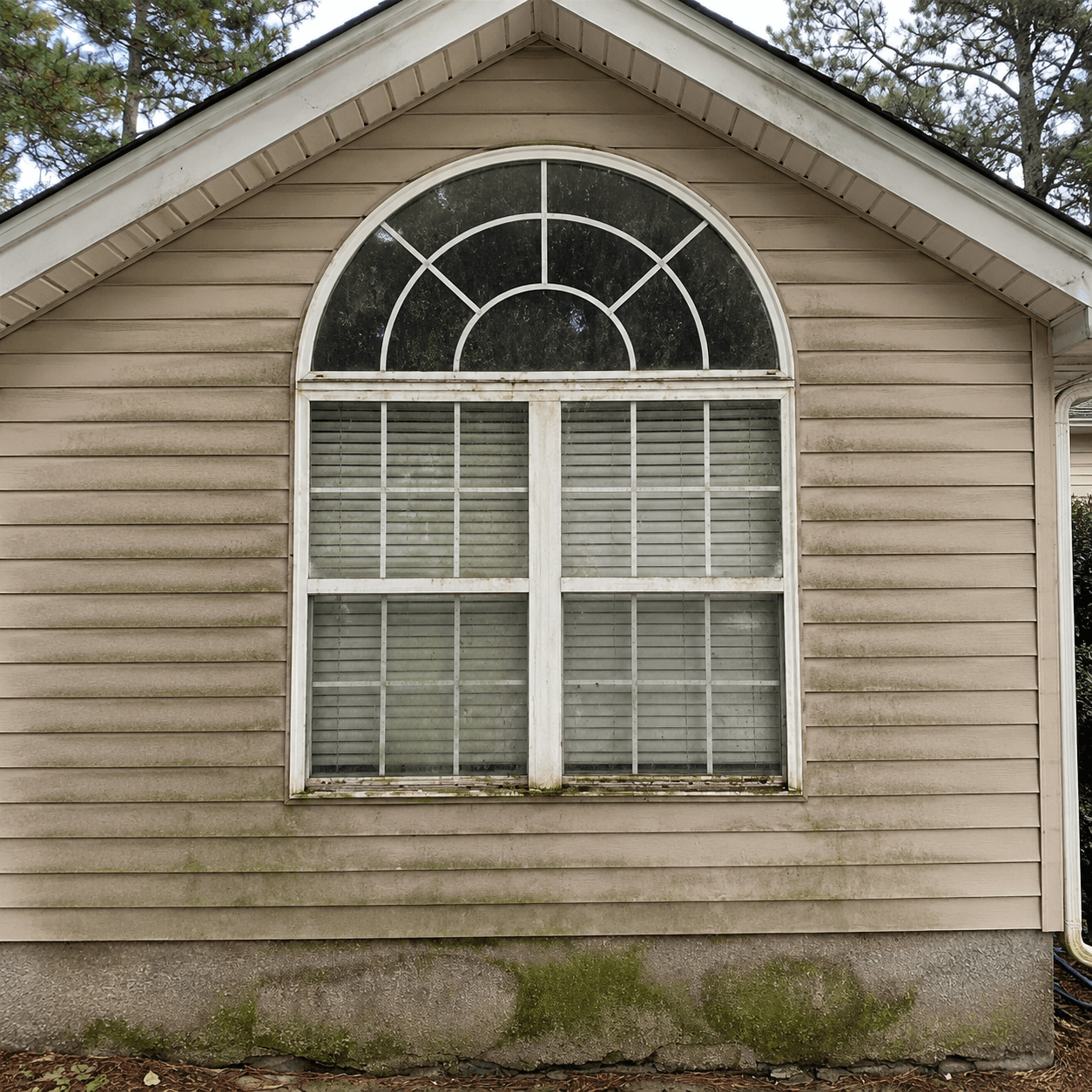 Window Cleaning before cleaning